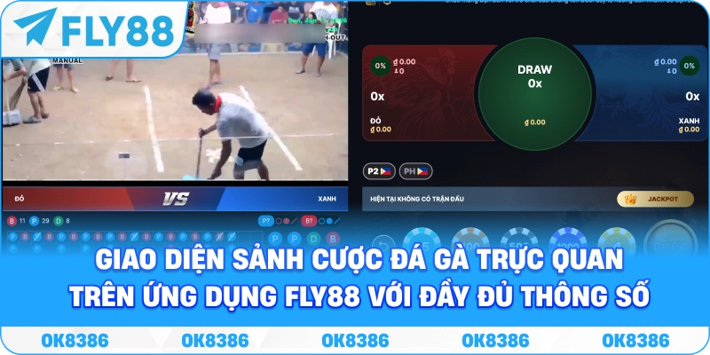 Giao diện sảnh cược đá gà trực quan trên ứng dụng Fly88 với đầy đủ thông số